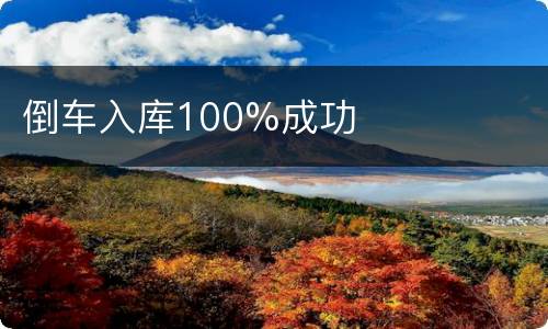 倒车入库100%成功