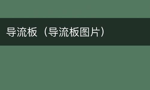 导流板（导流板图片）