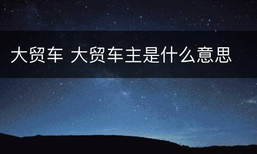 大贸车 大贸车主是什么意思