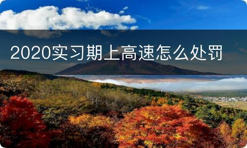 2020实习期上高速怎么处罚