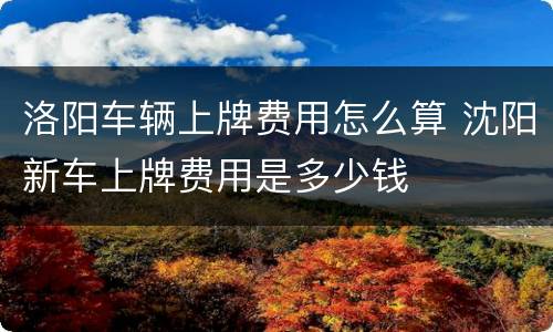 洛阳车辆上牌费用怎么算 沈阳新车上牌费用是多少钱