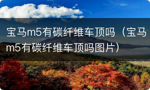 宝马m5有碳纤维车顶吗（宝马m5有碳纤维车顶吗图片）
