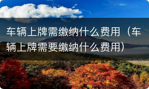 车辆上牌需缴纳什么费用（车辆上牌需要缴纳什么费用）