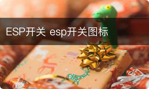 ESP开关 esp开关图标