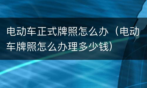 电动车正式牌照怎么办（电动车牌照怎么办理多少钱）