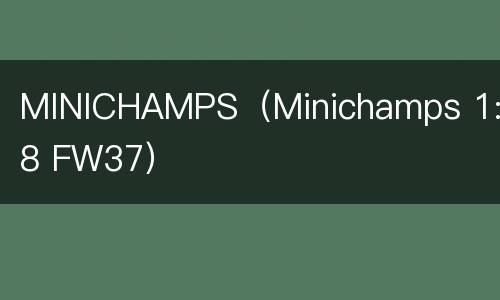 MINICHAMPS（Minichamps 1:18 FW37）