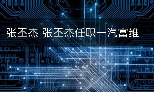 张丕杰 张丕杰任职一汽富维
