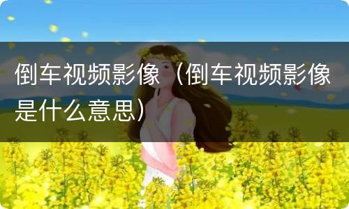 倒车视频影像（倒车视频影像是什么意思）