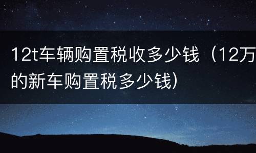 12t车辆购置税收多少钱（12万的新车购置税多少钱）