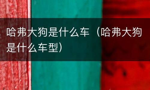 哈弗大狗是什么车（哈弗大狗是什么车型）