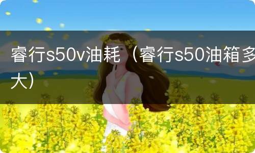 睿行s50v油耗（睿行s50油箱多大）