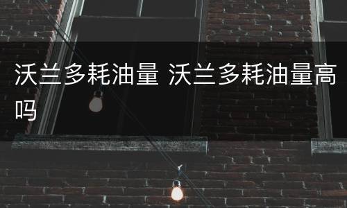 沃兰多耗油量 沃兰多耗油量高吗