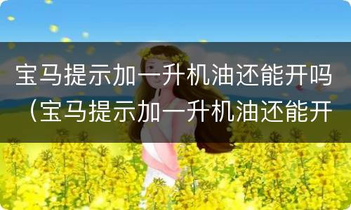 宝马提示加一升机油还能开吗（宝马提示加一升机油还能开吗多少钱）