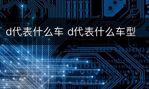 d代表什么车 d代表什么车型