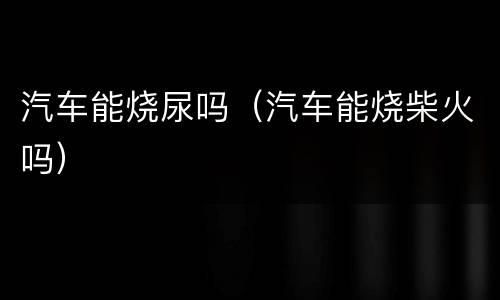 汽车能烧尿吗（汽车能烧柴火吗）