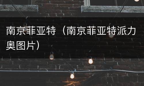 南京菲亚特（南京菲亚特派力奥图片）