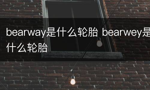 bearway是什么轮胎 bearwey是什么轮胎