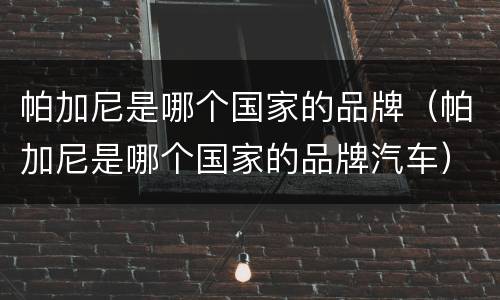 帕加尼是哪个国家的品牌（帕加尼是哪个国家的品牌汽车）