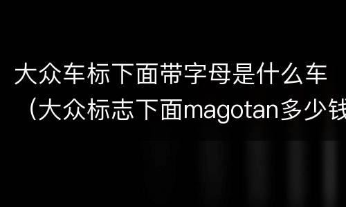 大众车标下面带字母是什么车（大众标志下面magotan多少钱）