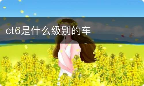 ct6是什么级别的车