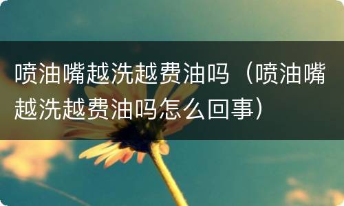 喷油嘴越洗越费油吗（喷油嘴越洗越费油吗怎么回事）