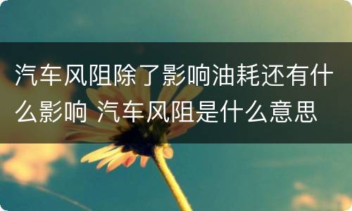 汽车风阻除了影响油耗还有什么影响 汽车风阻是什么意思