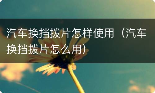 汽车换挡拨片怎样使用（汽车换挡拨片怎么用）