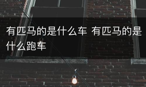有匹马的是什么车 有匹马的是什么跑车