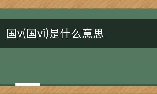 国v(国vi)是什么意思