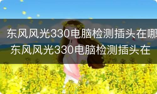 东风风光330电脑检测插头在哪 东风风光330电脑检测插头在哪里