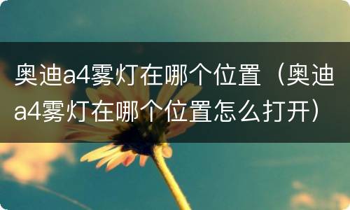 奥迪a4雾灯在哪个位置（奥迪a4雾灯在哪个位置怎么打开）