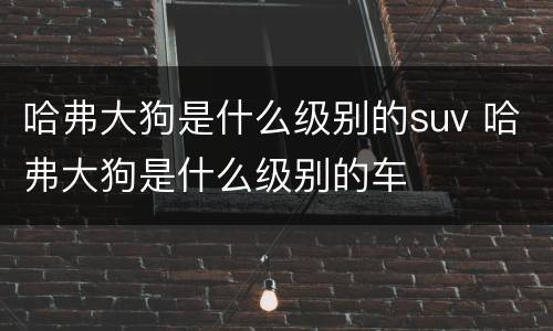 哈弗大狗是什么级别的suv 哈弗大狗是什么级别的车