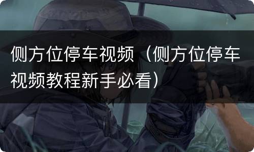 侧方位停车视频（侧方位停车视频教程新手必看）