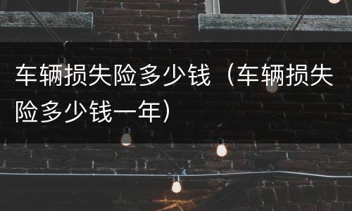 车辆损失险多少钱（车辆损失险多少钱一年）