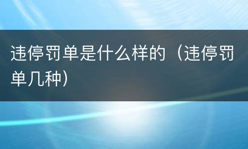 违停罚单是什么样的（违停罚单几种）