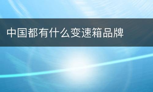 中国都有什么变速箱品牌