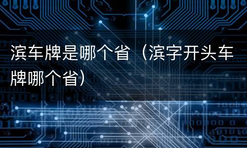滨车牌是哪个省（滨字开头车牌哪个省）