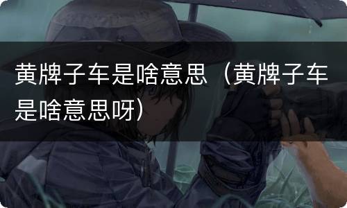 黄牌子车是啥意思（黄牌子车是啥意思呀）