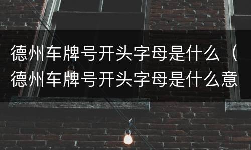 德州车牌号开头字母是什么（德州车牌号开头字母是什么意思）