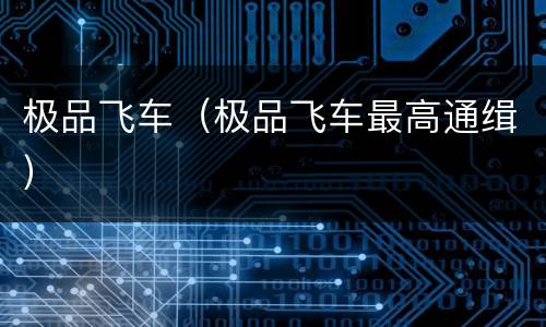 极品飞车（极品飞车最高通缉）