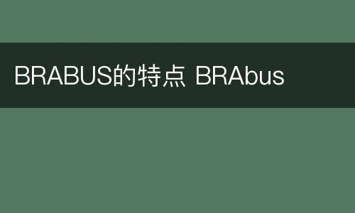 BRABUS的特点 BRAbus
