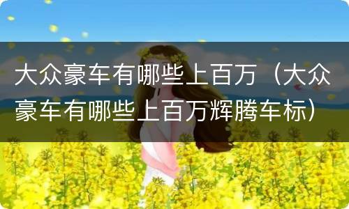 大众豪车有哪些上百万（大众豪车有哪些上百万辉腾车标）