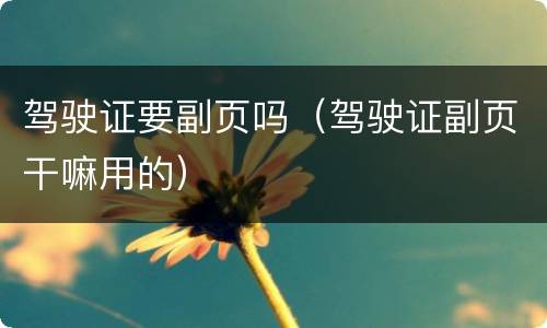 驾驶证要副页吗（驾驶证副页干嘛用的）