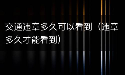 交通违章多久可以看到（违章多久才能看到）