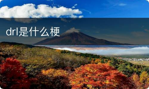 drl是什么梗