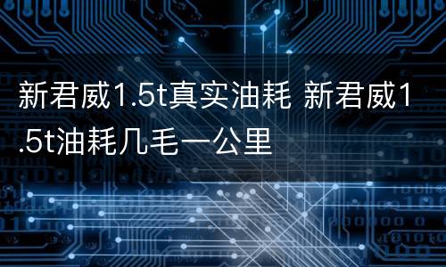 新君威1.5t真实油耗 新君威1.5t油耗几毛一公里
