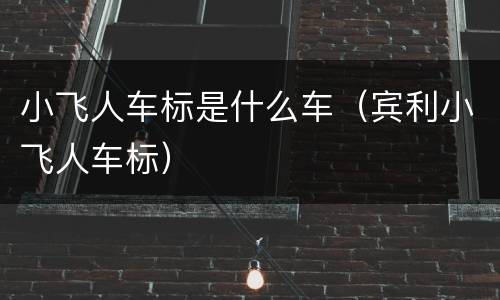 小飞人车标是什么车（宾利小飞人车标）