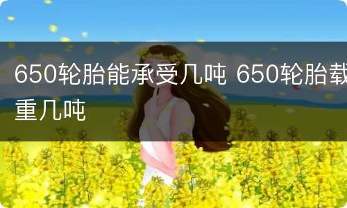 650轮胎能承受几吨 650轮胎载重几吨