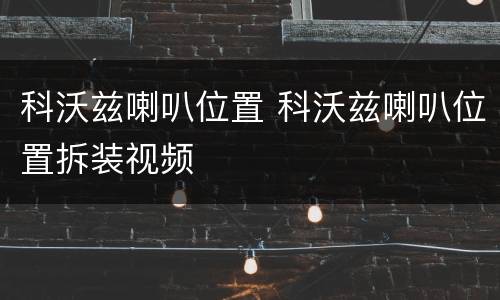 科沃兹喇叭位置 科沃兹喇叭位置拆装视频