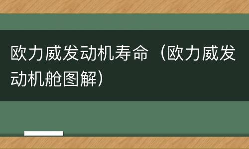 欧力威发动机寿命（欧力威发动机舱图解）
